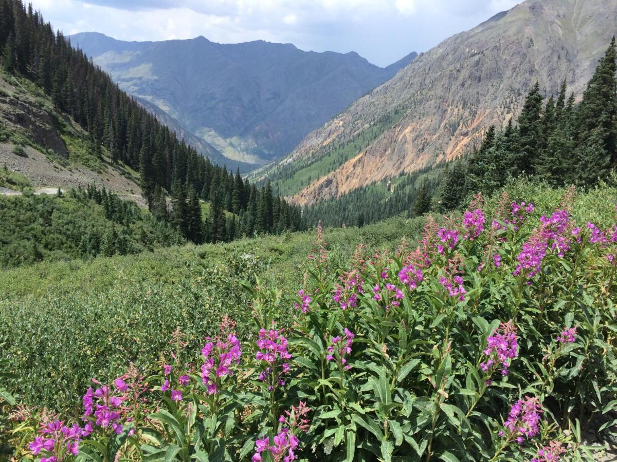 Cascade Village 301, Durango Co Eksteriør bilde