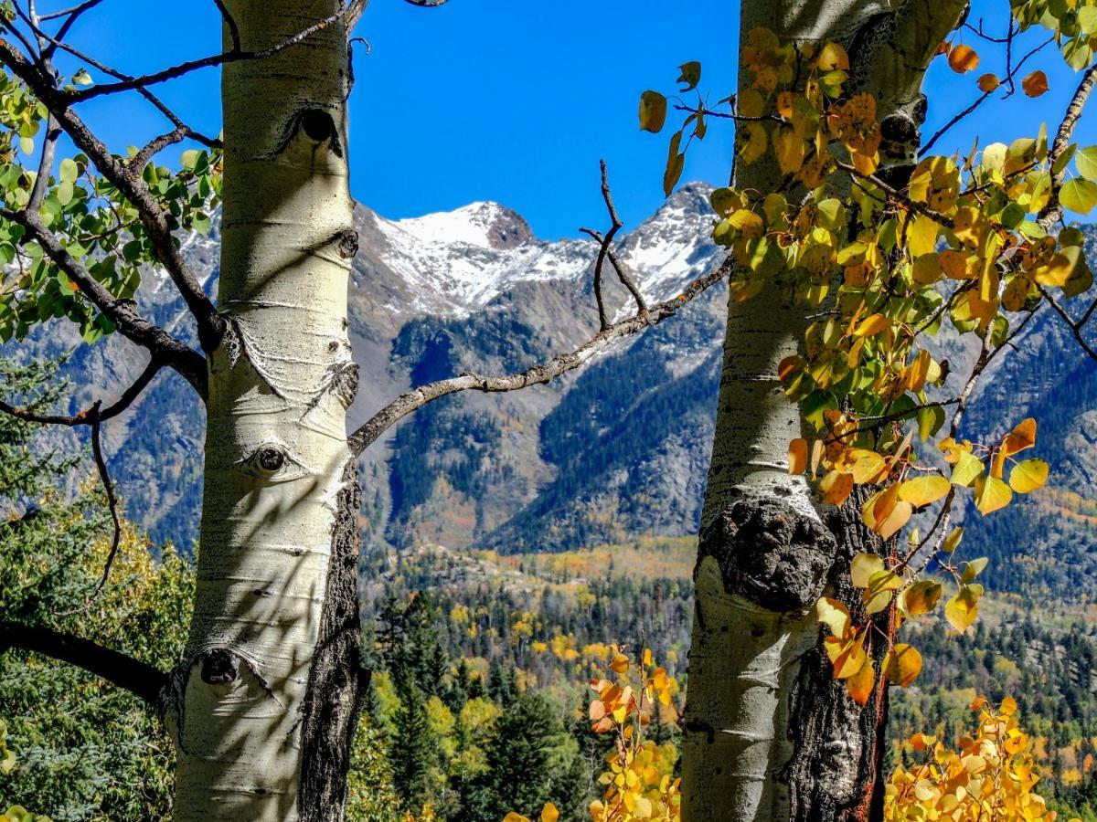 Cascade Village 301, Durango Co Eksteriør bilde